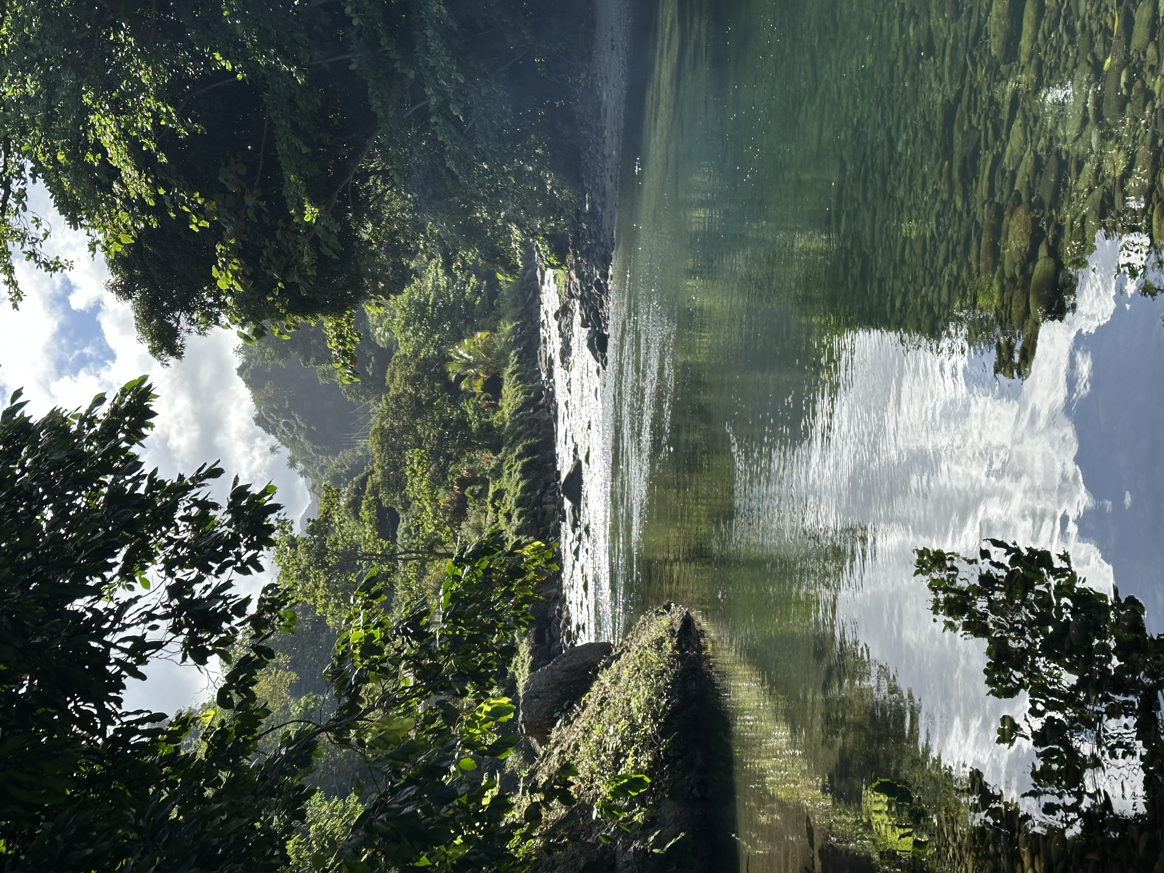 Photo of Rosalie River, Dominica by JumelJB