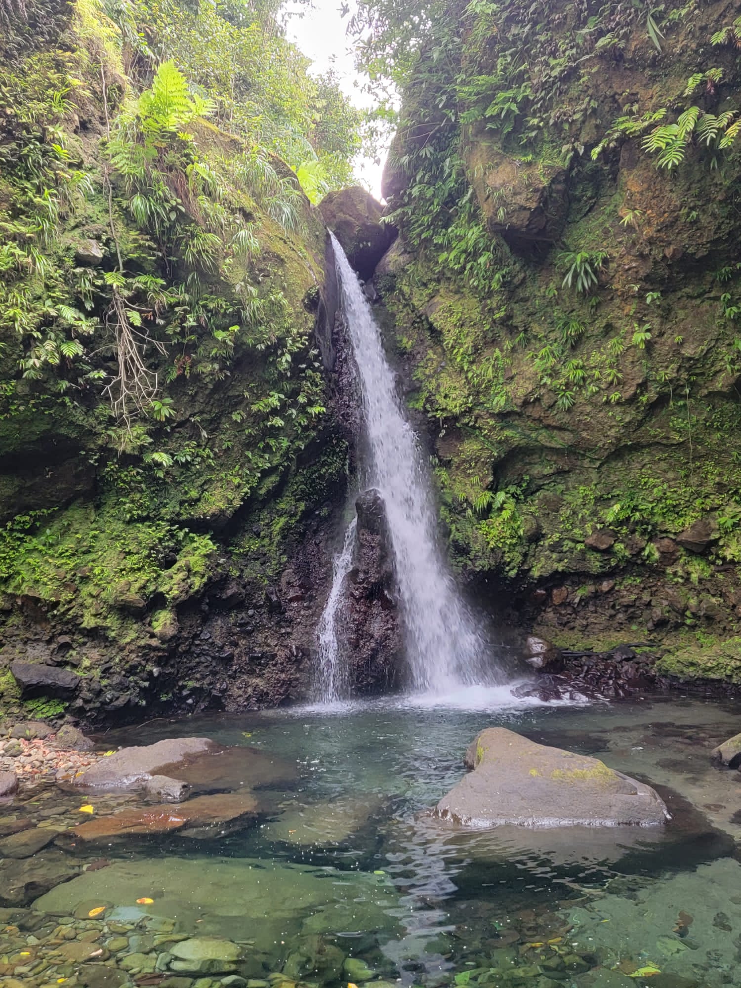 Photo of Jacko Falls, St. David, Dominica by Tourence