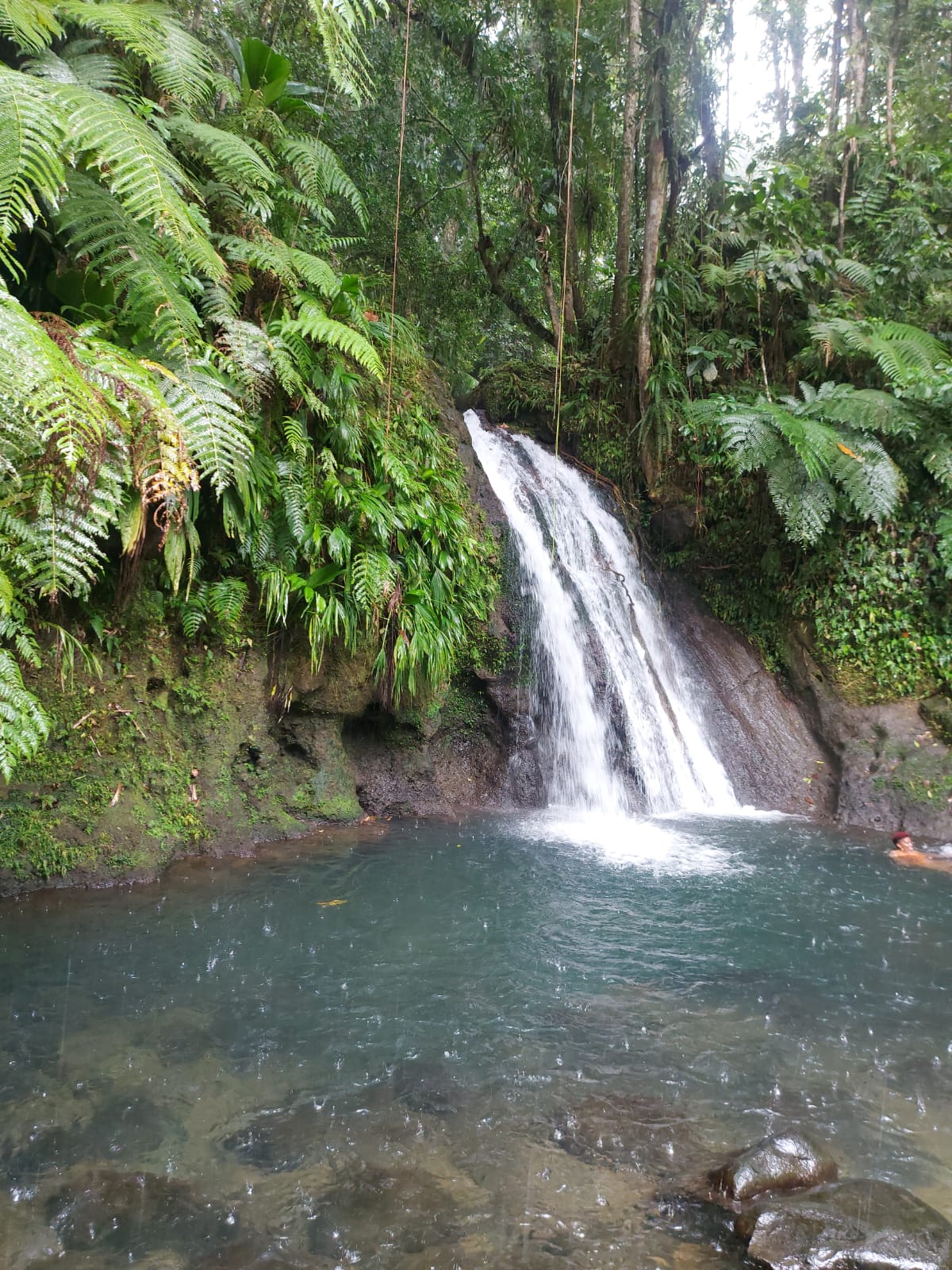 Photo of Cascade Ecrevisses (Grafish waterfall), Guadeloupe by Jhanphooms 